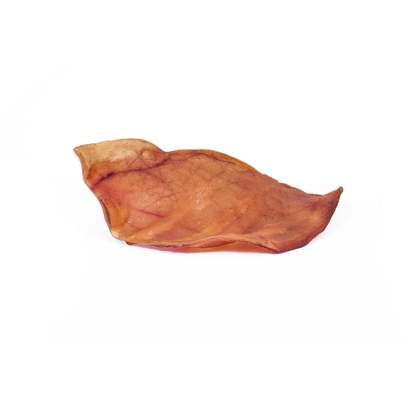 Small Pig Ear (1 ct)